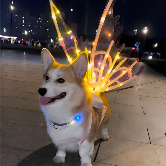 LED Light-Up Butterfly Angel Wings Costume for Dogs, Girls & Women – Multi-Color Illuminated Wings for Halloween, Christmas, Carnival
