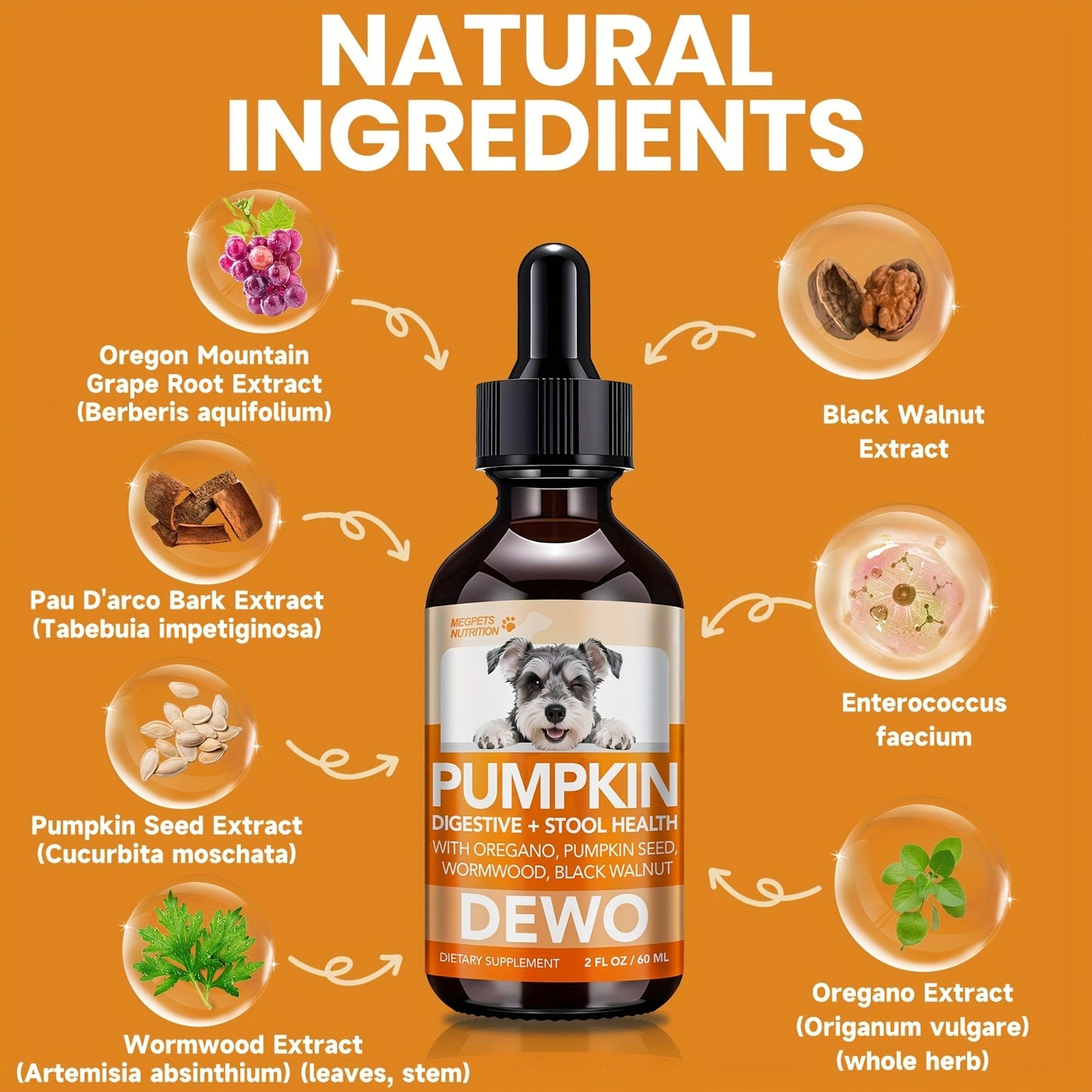 Pet Gut Wellness Drops with Black Walnut & Pumpkin Seed – Digestive Supplement for Dogs & Cats, Flora Balance