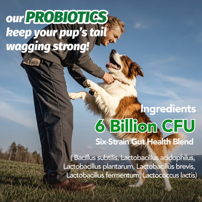 Dog Probiotic Supplement 6 Billion CFU with Prebiotic – 90 Chicken Flavor Chews for Itching Skin Relief, Digestive & Immune Health