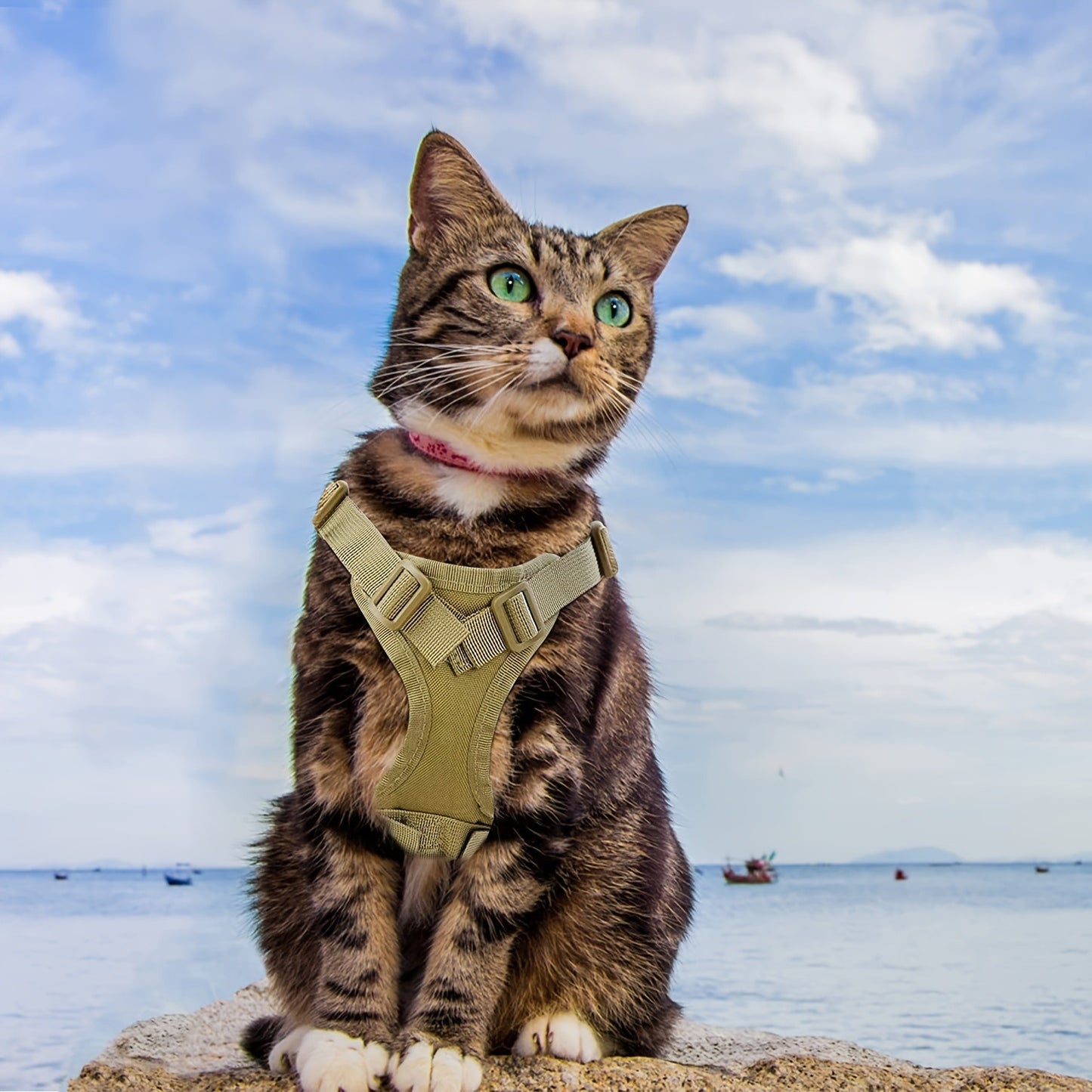 Cat Tactical Vest Harness Adjustable 600D Chest Strap for Cats & Puppies – Escape-Proof Training Vest Harness in Black Khaki Red Rose Red