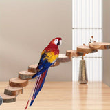 Parrot ladder solid wood platform