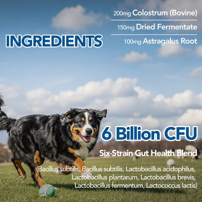 Dog Skin and Digestion Soft Chews with Colostrum, Fermentate and Astragalus, 90-Count Bottle