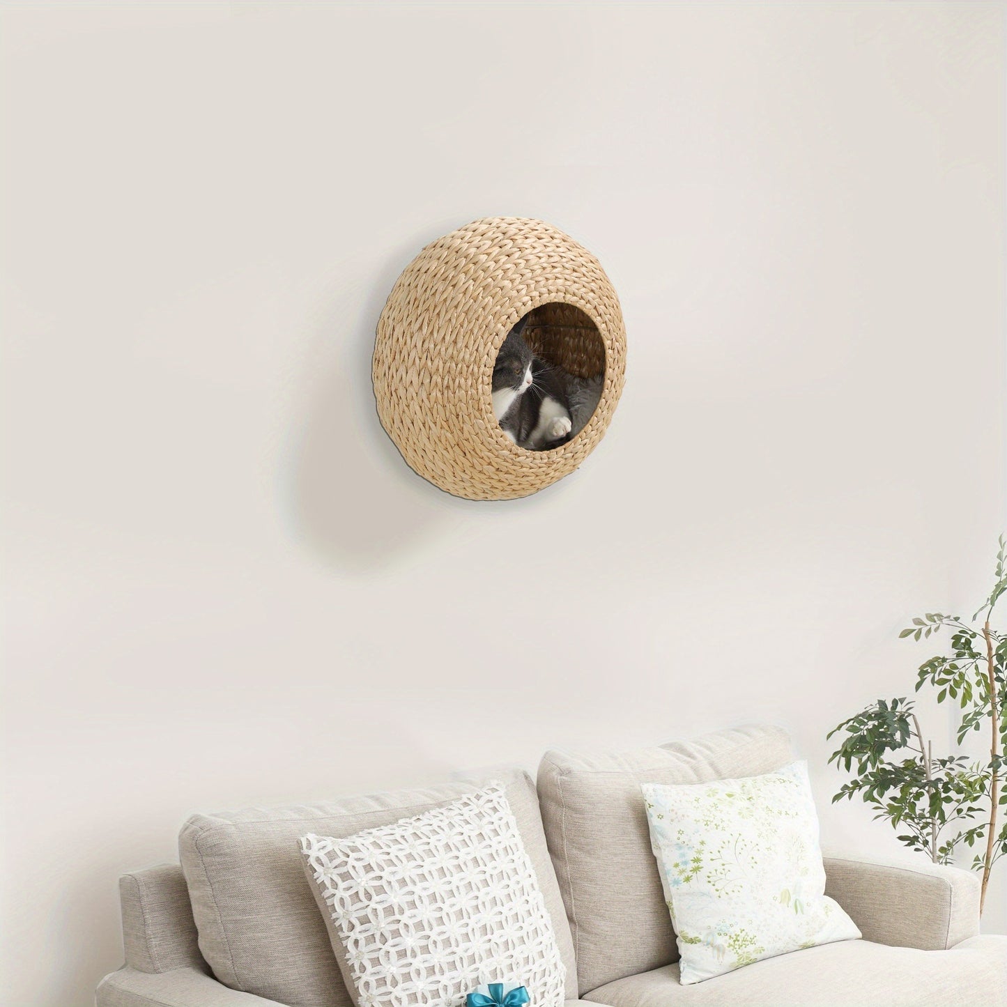 Cat Wall Furniture Wall Mounted Cat Condo – Natural Wood Cat Wall Shelf with Washable Cushion, Space-Saving Indoor Cat Perch for Cats