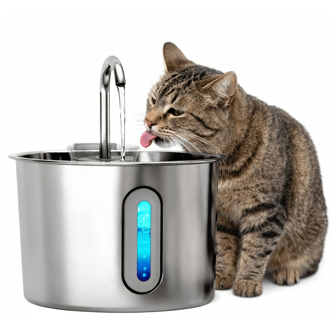 Stainless Steel Cat Water Fountain 74oz – 304 Food-Grade Steel, Ultra-Quiet USB Pump, 3-Stage Filtration, Visible Water Level Window
