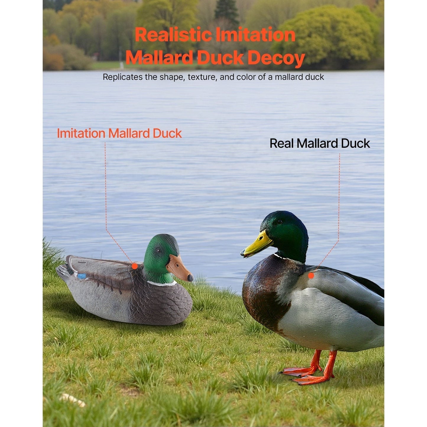 Duck Decoys 6-Pack – Realistic Floating Teal Decoy Set with Bionic Painting, XPE Compression Storage, 3 Male & 3 Female Ducks for Hunting