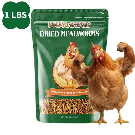 Dried Mealworms High Protein Animal Feed – Natural Insect Treats for Chickens Wild Birds Hens Ducks Turtles Fish Lizards Hamsters