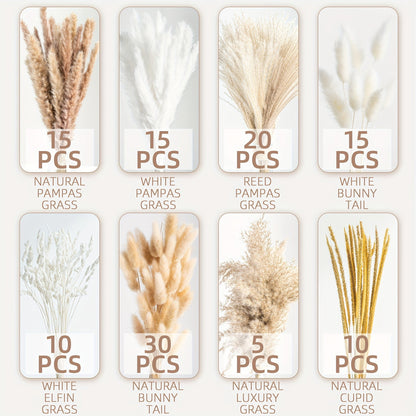 Pampas Grass Decor 120pcs Natural Dried Floral Arrangement Boho Bouquet for Wedding for Entryways, Bedrooms and Living Spaces