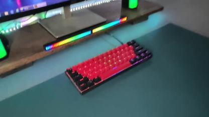 60% Mechanical Gaming Keyboard Wired 61 Keys Green Switch, Compact Tenkeyless Clicky Keyboard for PC Laptop Windows Gaming Typing