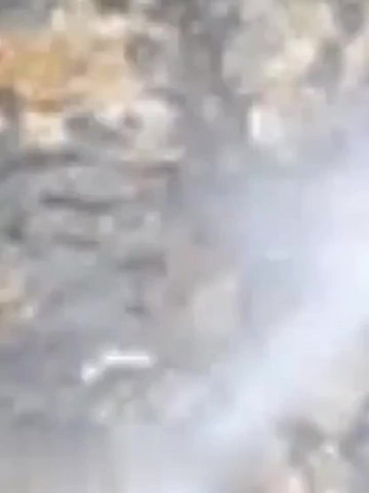 High Pressure Car Wash Spray Gun with Adjustable Nozzle – 3/4" & 1/2" Quick Connect, Multi-Function Garden Hose Sprayer for Car Cleaning