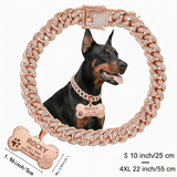 Rose Golden collar + custom pet tag