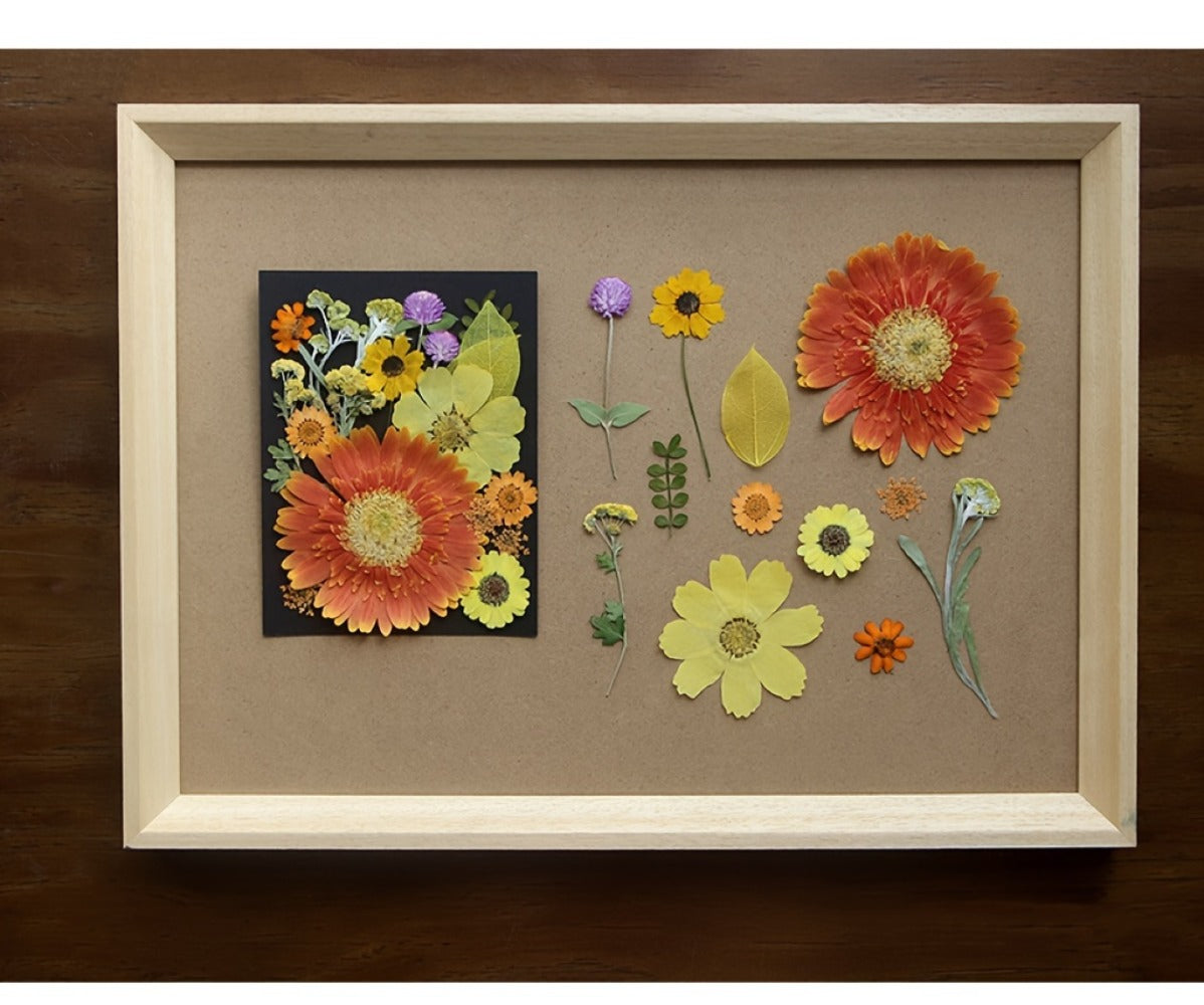 Dried Pressed Flowers for Resin 60pcs Real Pressed Flowers Dry Leaves Bulk Natural Herbs Kit for Scrapbooking DIY Art Crafts