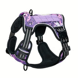 Dark Violet