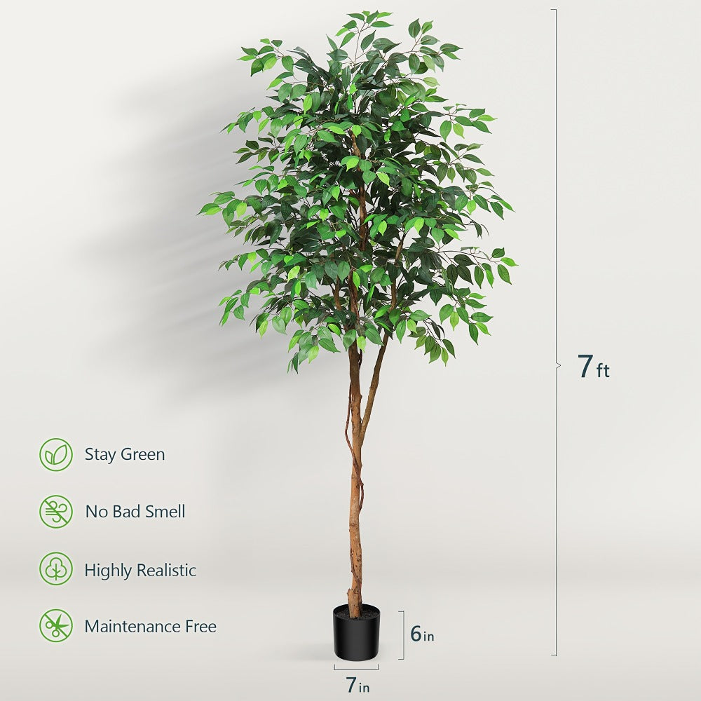 Artificial Ficus Tree with Braided Trunk, Full Green Canopy, Black Pot and 4, 5 or 6 ft Height Options