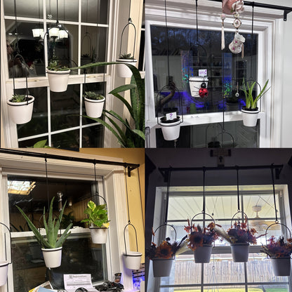Hanging Planter | Adjustable Metal Wall Rack Indoor Herb Window Pot