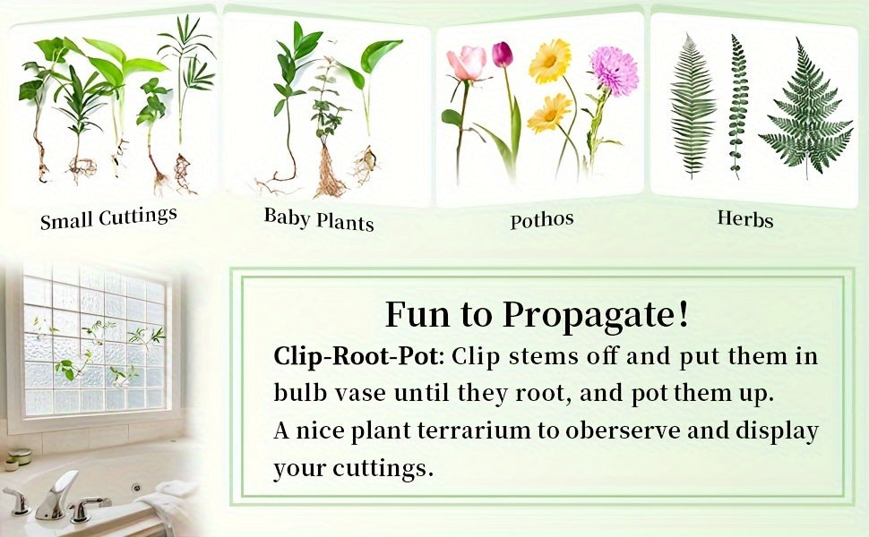Hanging Planter | Glass Terrarium Hydroponic Air Plant Wall Decor Home