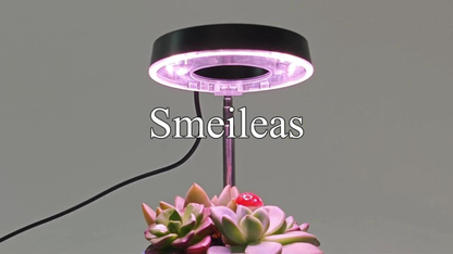 Magnetic Grow Light with 360° Adjustable Head – Full Spectrum Plant Growth Lamp with Auto Timer, 4-Level Dimmer & Adjustable Height