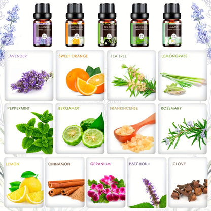 Essential Oil Assortment in 12, 20 or 26 Five-Milliliter Amber Bottles with Floral Gift Box