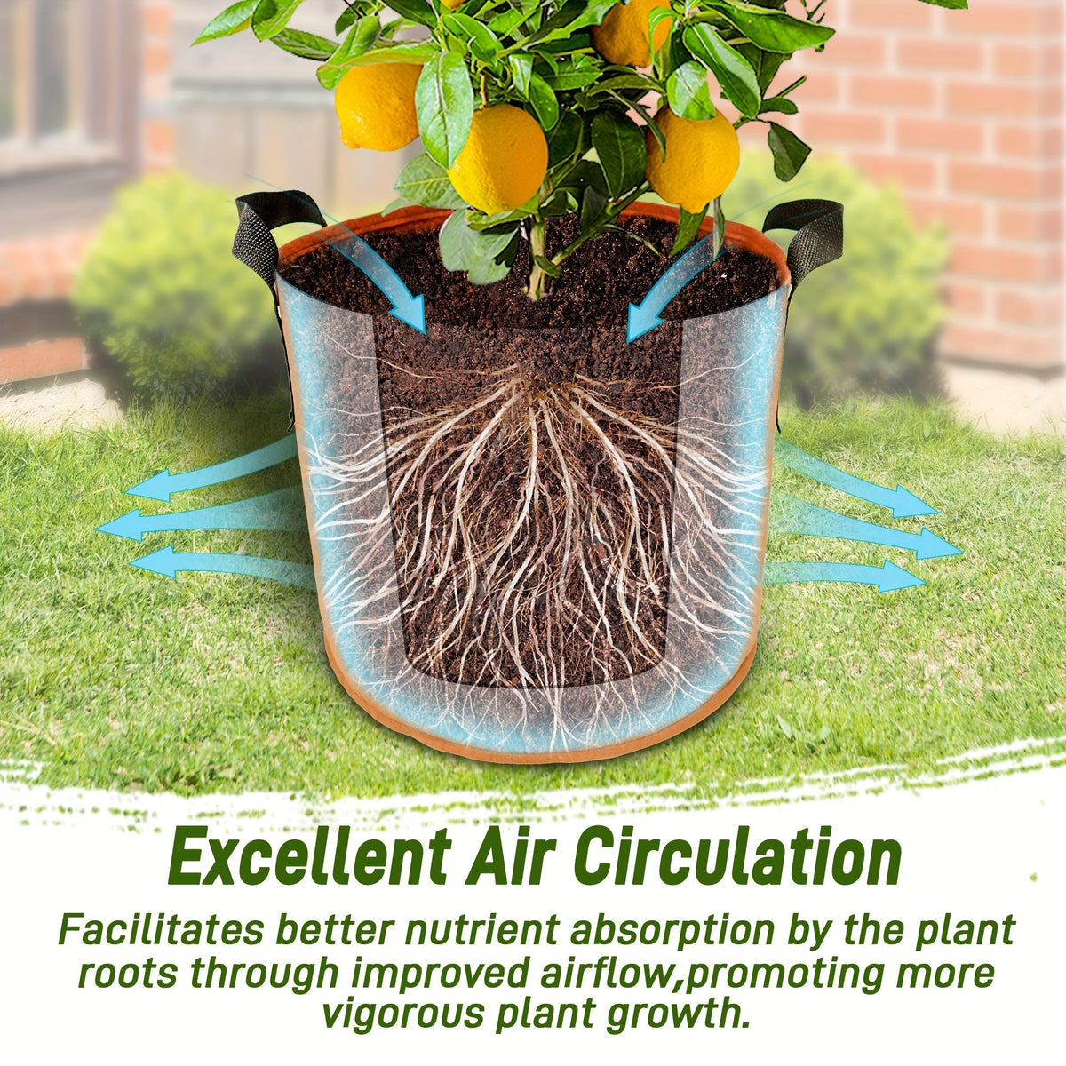 5/7/10/15 Gallon Plant Grow Bags, 7Pack Colourful Fabric Planters Plant Pots Garden Bags To Grow Vegetables With Reinforced Handles