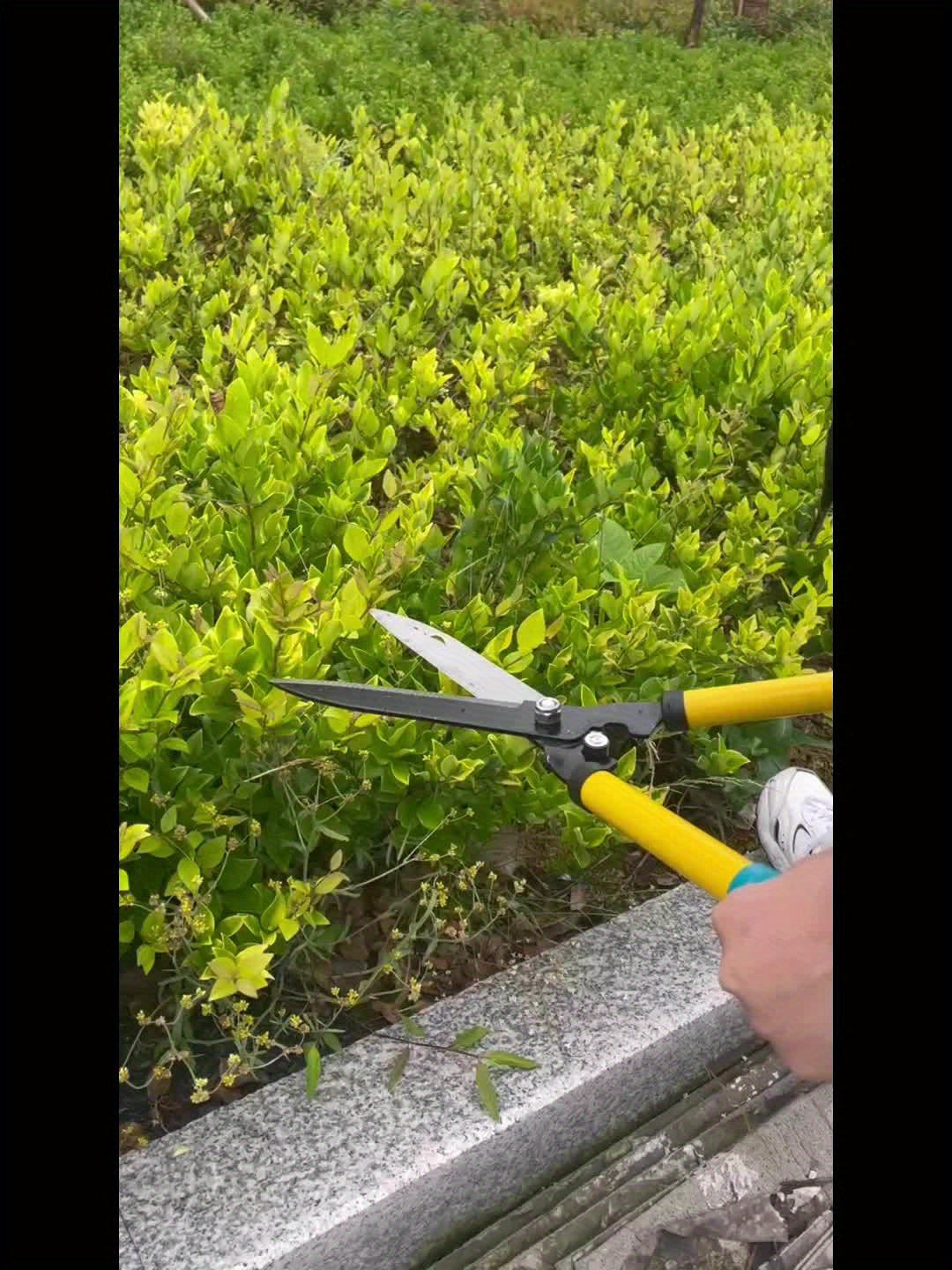 Pruning Shears, Garden Scissors Branch Hedge Trim for Garden, Patio and Yard Use, with the Listed Configuration