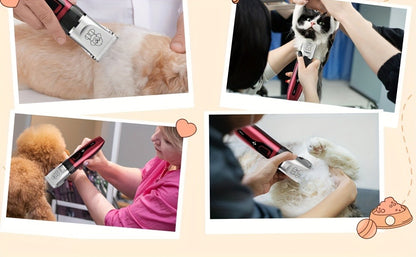 Pet Grooming Clippers Rechargeable with LED Display – Cordless Electric Dog Cat Hair Clipper, Detachable Blades 4 Guide Combs Low Noise