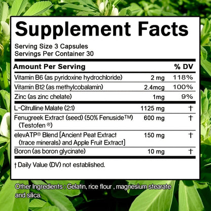 Total-T Testosterone Booster for Men, Daily Vitality & Hormone Support Capsules, Natural Energy, Strength