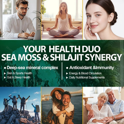 Dietary Supplement Six-Bottle Bundle with Himiyer Label, Sea Moss and Shilajit 60-Capsule Formulas