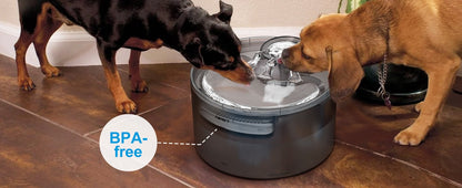 Dog Water Fountain 2 Gallon NPET DF30 – Automatic Pet Water Dispenser Triple Filtration with Splatter Guard & Cleaning Kit for Large Dogs