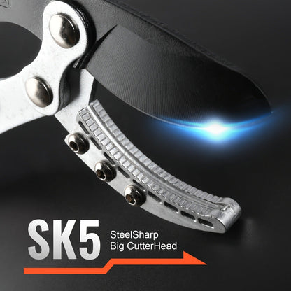 Long Reach Pruning Shears 18-38 Inch Extendable – Non-Stick Steel Blades Cut 2" Branches, Shock-Absorbing Handle