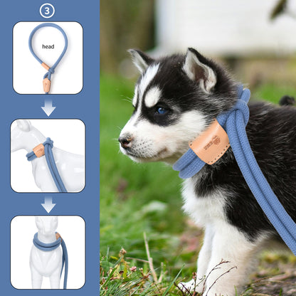 Dog Slip Leash and Harness 2-in-1 Rope Lead – No Pull All-in-One Training Leash for Puppies & Small Dogs, Adjustable Slip Lead with Soft