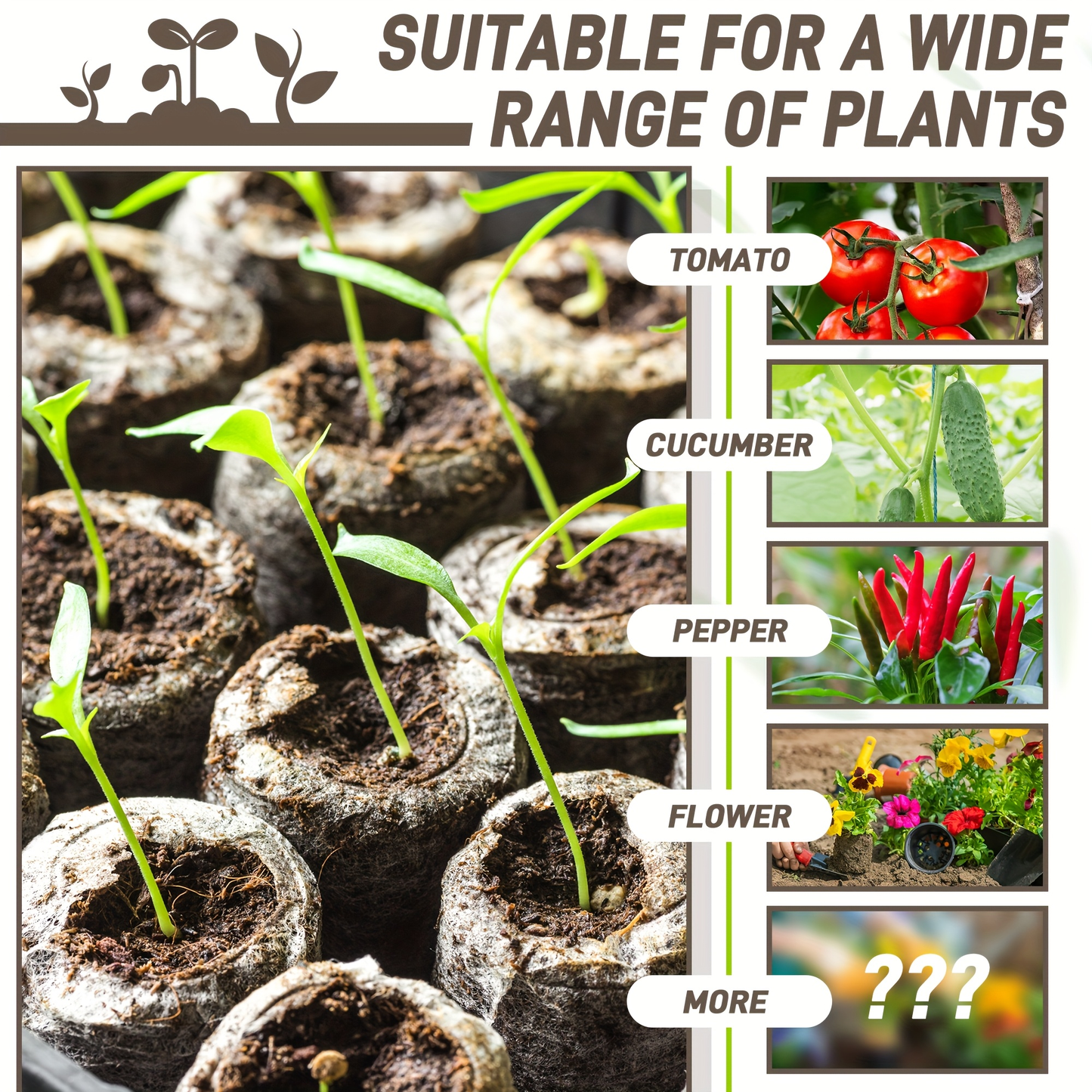 Peat Pellets Seed Starter 35mm Compressed | 50/100pcs Expandable Coir Discs for Seedlings Vegetables Flowers Herbs | Indoor Outdoor Seed