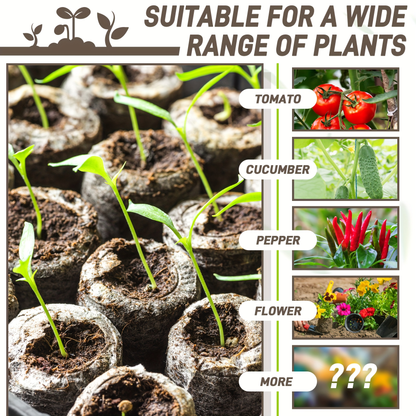 Peat Pellets Seed Starter 35mm Compressed | 50/100pcs Expandable Coir Discs for Seedlings Vegetables Flowers Herbs | Indoor Outdoor Seed