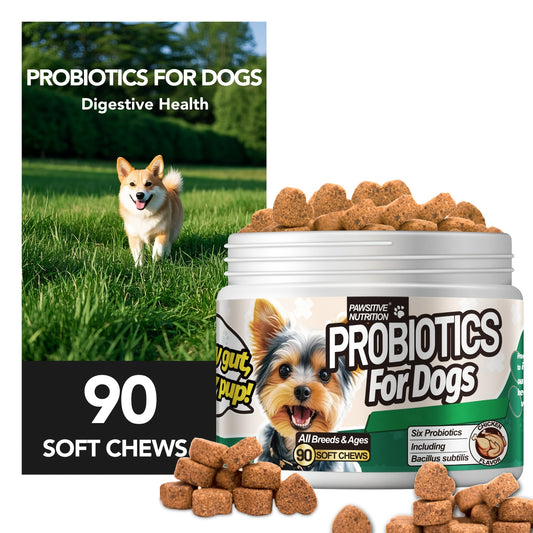 Dog Probiotic Supplement 6 Billion CFU with Prebiotic – 90 Chicken Flavor Chews for Itching Skin Relief, Digestive & Immune Health