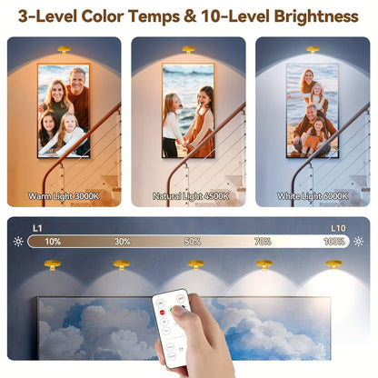 Picture Lights for Wall Rechargeable, Magnetic LED Art Display Light with Remote 3 Color Temperatures Dimmable Timer Golden Finish