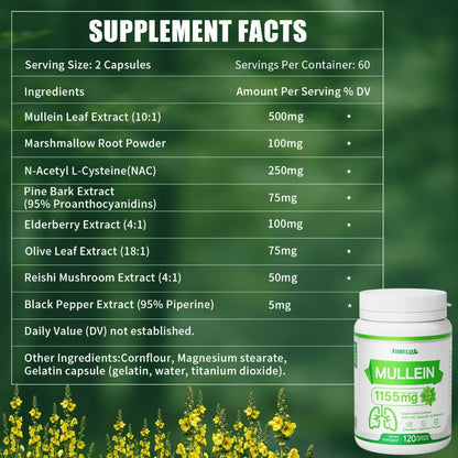 Herbal Supplement with YOBECON Label, Mullein NAC Quercetin Elderberry 1155mg per Serving, 120 Capsules