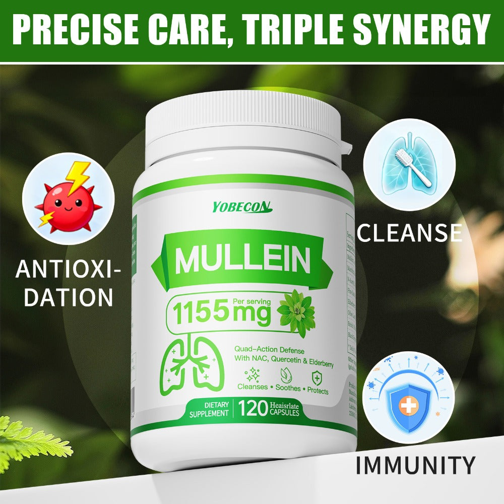 Herbal Supplement with YOBECON Label, Mullein NAC Quercetin Elderberry 1155mg per Serving, 120 Capsules