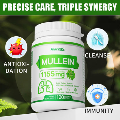 Herbal Supplement with YOBECON Label, Mullein NAC Quercetin Elderberry 1155mg per Serving, 120 Capsules