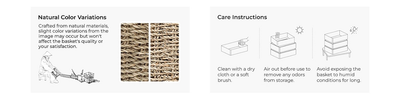 Scalloped Wicker Storage Baskets Set of 2 with Handles in Water Hyacinth or Seagrass Weave