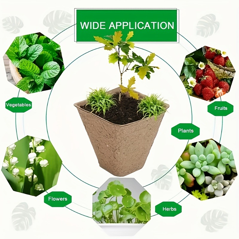 Peat Pots Seed Starter 100pcs Square Biodegradable Paper | Germination Trays with Peat Substrate for Herbs Cacti Flowers | Indoor Outdoor
