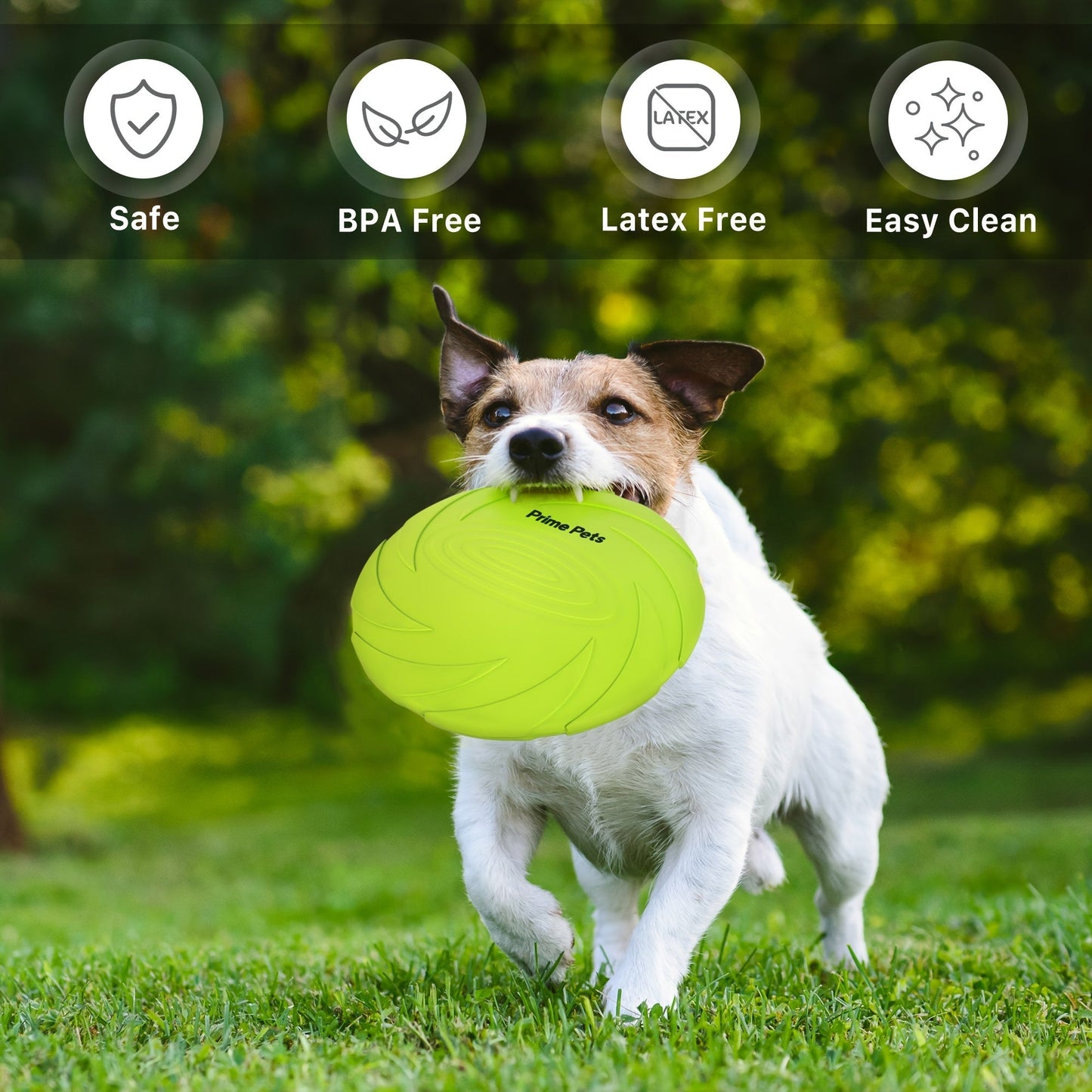 Dog Toys Two-Pack Floating Natural Rubber Flying Discs in Green and Orange for Fetch and Water Play