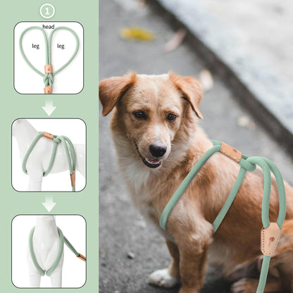 Dog Slip Leash and Harness 2-in-1 Rope Lead – No Pull All-in-One Training Leash for Puppies & Small Dogs, Adjustable Slip Lead with Soft