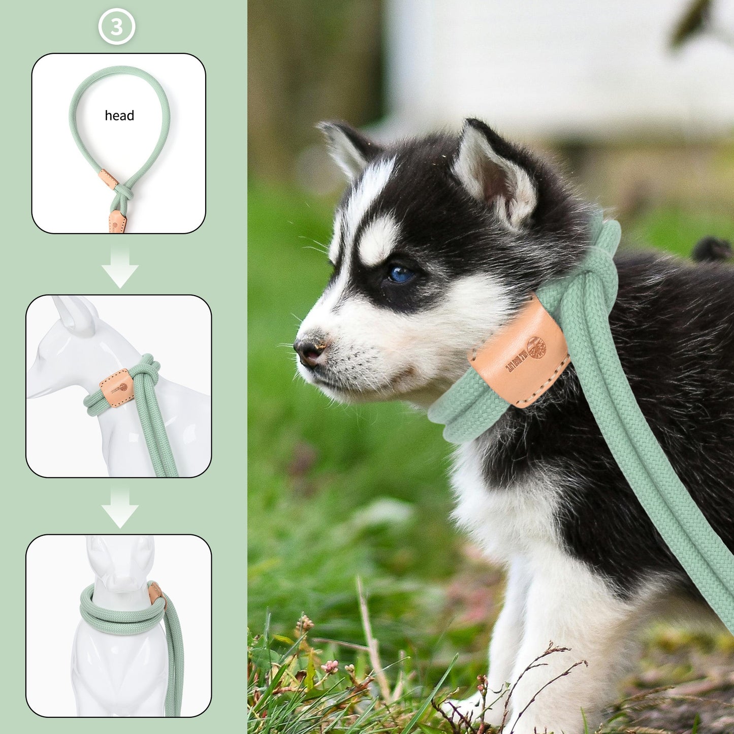 Dog Slip Leash and Harness 2-in-1 Rope Lead – No Pull All-in-One Training Leash for Puppies & Small Dogs, Adjustable Slip Lead with Soft
