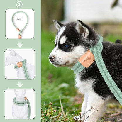 Dog Slip Leash and Harness 2-in-1 Rope Lead – No Pull All-in-One Training Leash for Puppies & Small Dogs, Adjustable Slip Lead with Soft