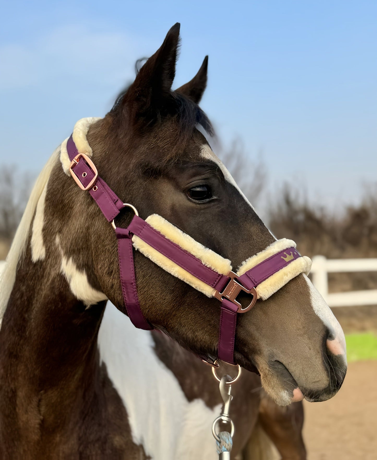 Horse Halter with Detachable Faux Fur Band & Glossy Buckle – Adjustable Head Collar for Horses, Available in 15 Colors & 3 Sizes FULL COB
