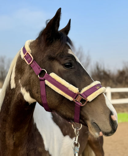 Horse Halter with Detachable Faux Fur Band & Glossy Buckle – Adjustable Head Collar for Horses, Available in 15 Colors & 3 Sizes FULL COB