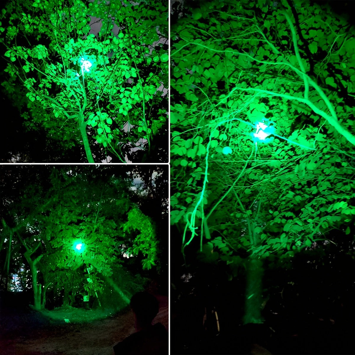 Flashlight Red, Green or White Hunting Light with Remote Switch, 18650 Battery and Mount Options
