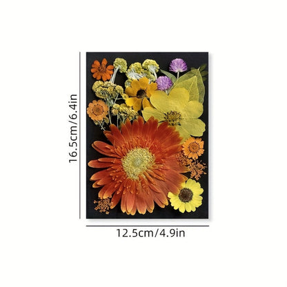 Dried Pressed Flowers for Resin 60pcs Real Pressed Flowers Dry Leaves Bulk Natural Herbs Kit for Scrapbooking DIY Art Crafts