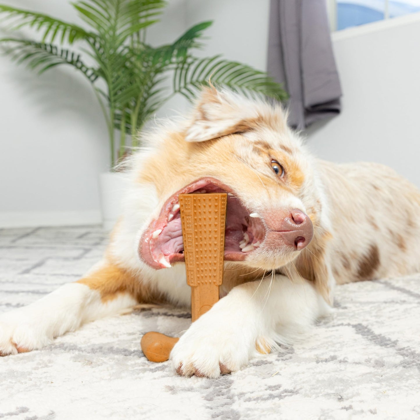Dog Dental Chew Toy T-Shape with Textured Ridges & Ergonomic Grip – Non-Splintering Durable Chew Toy for Aggressive Chewers