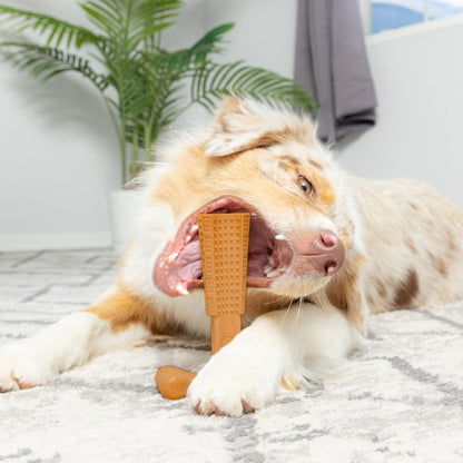 Dog Dental Chew Toy T-Shape with Textured Ridges & Ergonomic Grip – Non-Splintering Durable Chew Toy for Aggressive Chewers