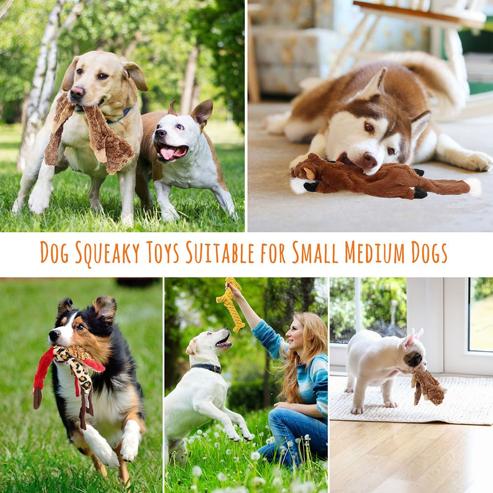 Squeaky Dog Toys 5-Pack No Stuffing Plush Chew Toy Bundle – Durable Animal Toys for Small Medium Large Dogs