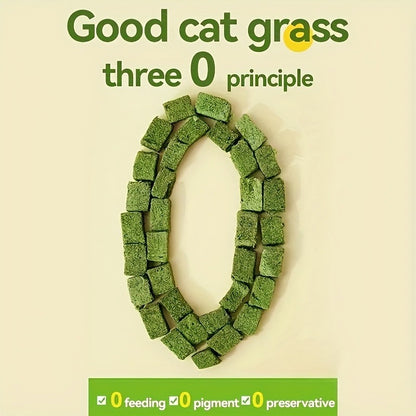 Cat Grass Pellets Freeze-Dried 150g – Mint Flavor Hairball Control Granules, Natural Chewing & Teeth Grinding Snack for Cats